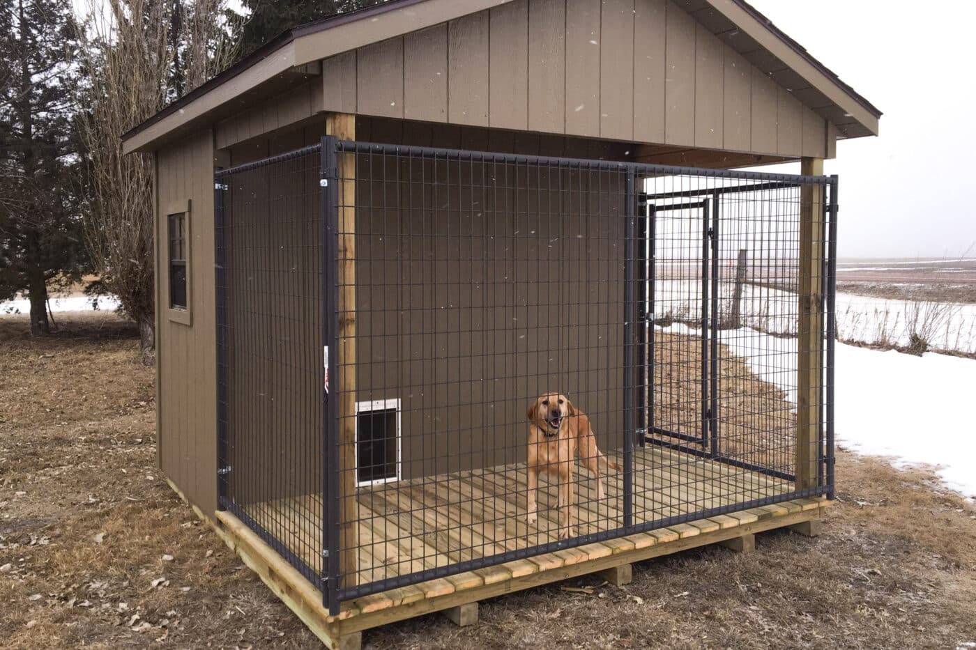 Brown Dog Kennel Shed with dog