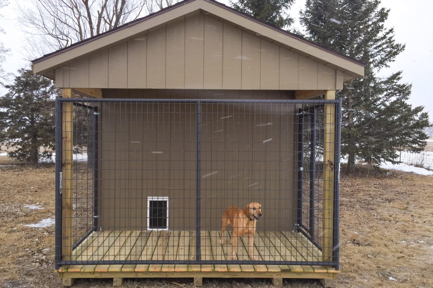 Brown backyard dog kennels